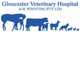 Gloucester Veterinary Hospital - Vets Newcastle