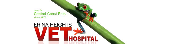 Central Coast NSW Vets Newcastle