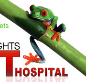 Erina Heights Veterinary Hospital - Vets Newcastle