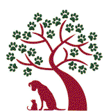 Hazelbrook NSW Vets Newcastle