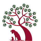 Selwood House Veterinary Hospital - thumb 0