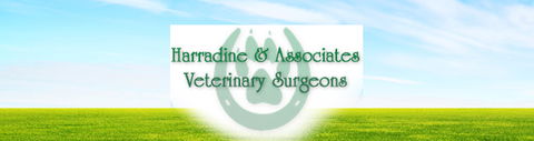 Harradine & Associates - Vets Newcastle 0