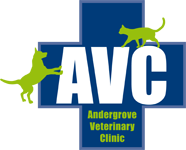 Andergrove Veterinary Clinic - Vets Newcastle 0