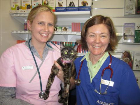 Andergrove Veterinary Clinic - Vets Newcastle 1