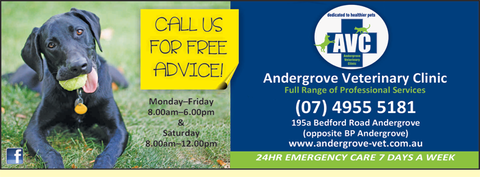 Andergrove Veterinary Clinic - Vets Newcastle 3