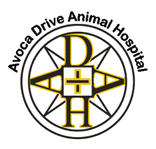 Avoca Drive Animal Hospital - Vets Newcastle