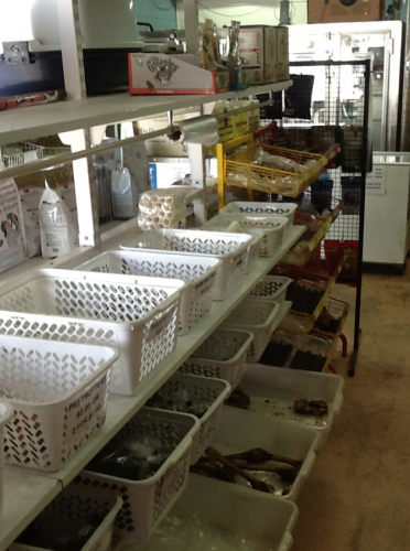 Bazza's Pet Shack - Vets Newcastle 4