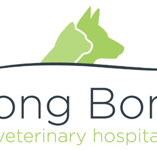 BONG BONG VETerinary Hospital - Vets Newcastle