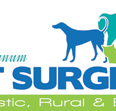 Boyne Tannum Veterinary Surgery - Vets Newcastle