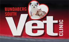  Vets Newcastle