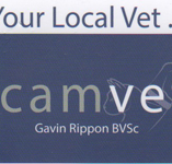 Camvet - Vets Newcastle