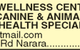 Canine Holistic Wellness Centre - thumb 8