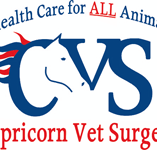 Capricorn Vet Surgery - Vets Newcastle