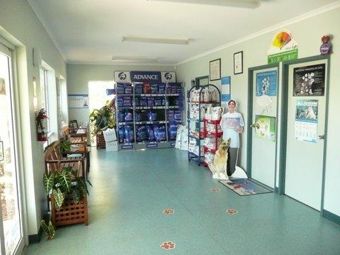Centenary Park Veterinary Clinic - Vets Newcastle 2
