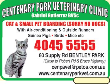 Centenary Park Veterinary Clinic - Vets Newcastle 6