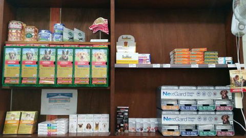 Central Veterinary Surgery - Vets Newcastle 4