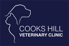 Cooks Hill Veterinary Clinic Cooks Hill