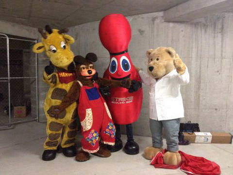 Cooks Hill Veterinary Clinic - Vets Newcastle 3