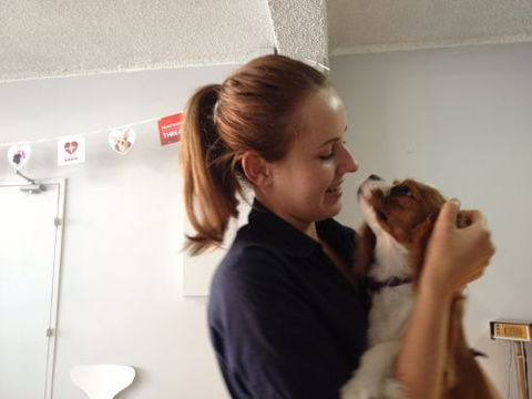 Cooks Hill Veterinary Clinic - Vets Newcastle 5