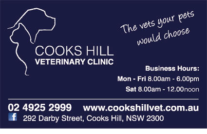 Cooks Hill Veterinary Clinic - Vets Newcastle 6