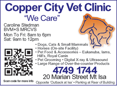 Copper City Vet Clinic - Vets Newcastle 1
