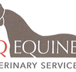 CQ Equine Veterinary Service - Vets Newcastle