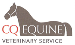 CQ Equine Veterinary Service - Vets Newcastle 0