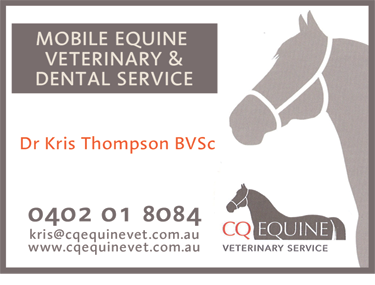 CQ Equine Veterinary Service - Vets Newcastle 1