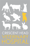 Book Crescent Head Accommodation Vacations Vets Newcastle Vets Newcastle