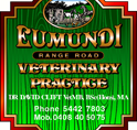 Eumundi Vet - Vets Newcastle