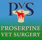 Faye McPherson - Vets Newcastle