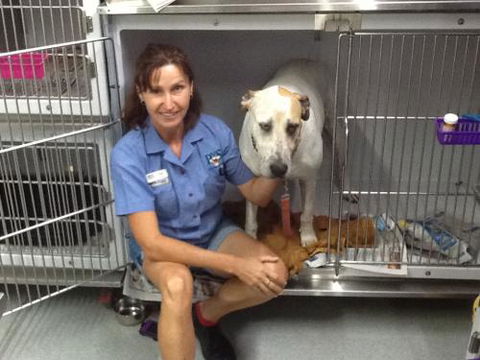 Faye McPherson - Vets Newcastle 3