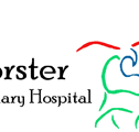 Forster Veterinary Hospital - Vets Newcastle