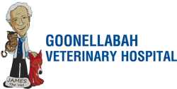  Vets Newcastle