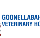 Goonellabah Veterinary Hospital - Vets Newcastle