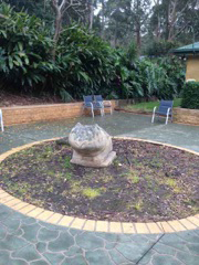 Green Point Veterinary Hospital - Vets Newcastle 3