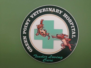 Green Point Veterinary Hospital - Vets Newcastle 5