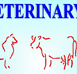Gympie Veterinary Services - Vets Newcastle