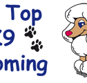Hill Top K9 Grooming - Vets Newcastle