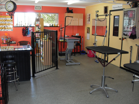 Hill Top K9 Grooming - Vets Newcastle 4