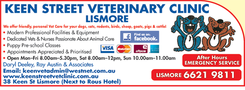 Keen Street Veterinary Clinic - Vets Newcastle 5