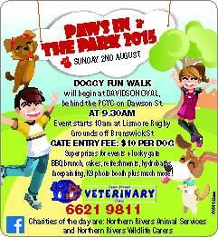 Keen Street Veterinary Clinic - Vets Newcastle 11