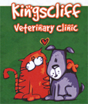 Chinderah NSW Vets Newcastle