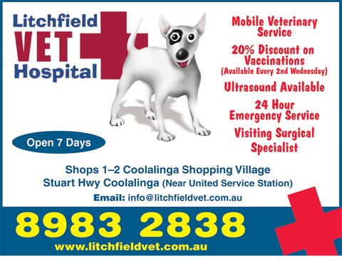 Litchfield Veterinary Hospital - Vets Newcastle 3