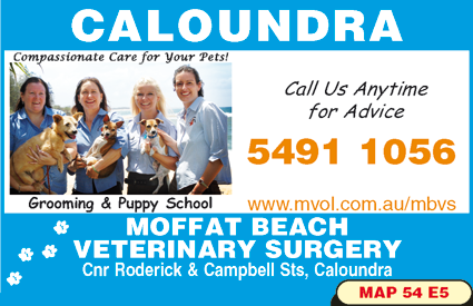 Moffat Beach Veterinary Surgery - Vets Newcastle 2