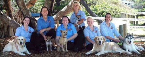 Moffat Beach Veterinary Surgery - Vets Newcastle 3