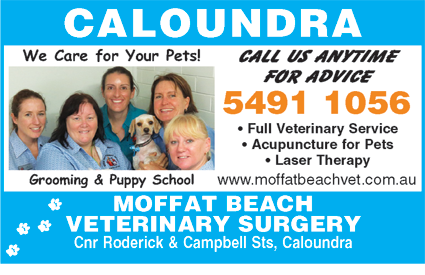 Moffat Beach Veterinary Surgery - Vets Newcastle 5