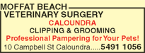 Moffat Beach Veterinary Surgery - Vets Newcastle 6
