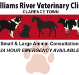 Morpeth Veterinary Hospital - Vets Newcastle