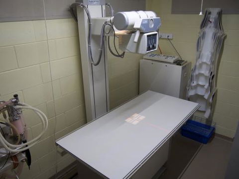 Mount Isa Veterinary Surgery - Vets Newcastle 1